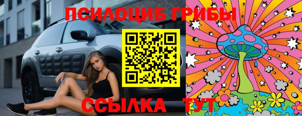 Сокол  Галлюциногенные грибы GOLDEN TEACHER  Вход с VPN  Галлюциногенные грибы Cubensis 