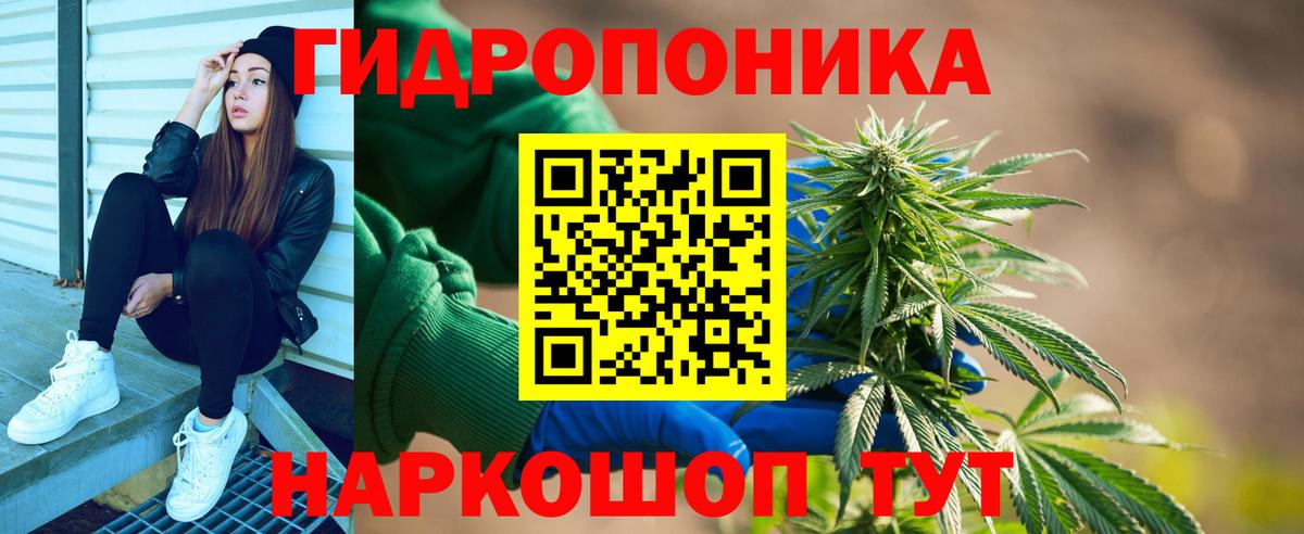 Бошки марихуана гибрид Сокол